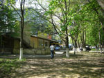 2010-05-06_14-32-26_CIMG9777.jpg