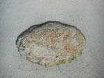2010-05-06_20-58-52_CIMG9785.jpg