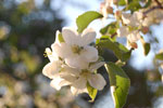 2010-05-07_20-08-44_DSC_8085.jpg