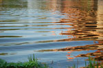 2010-05-07_20-10-20_DSC_8100.jpg