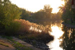 2010-05-07_20-30-48_DSC_8138.jpg