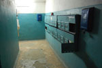 2010-05-07_20-59-48_DSC_8175.jpg