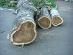 2010-05-08_21-14-56_CIMG9829.jpg