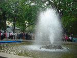 2010-05-09_18-04-57_CIMG9874.jpg