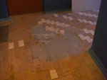 2010-05-10_20-28-02_CIMG9973.jpg