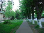 2010-05-10_20-31-45_CIMG9976.jpg