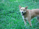 2010-05-10_20-57-17_CIMG9999.jpg