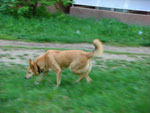 2010-05-10_20-57-52_CIMG0006.jpg