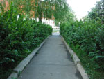 2010-05-10_20-58-34_CIMG0008.jpg