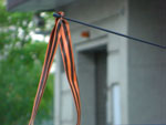 2010-05-10_20-58-55_CIMG0009.jpg