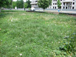 2010-05-12_13-16-49_CIMG0019.jpg