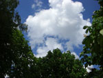 2010-05-12_13-17-01_CIMG0020.jpg