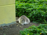 Photos
