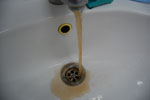 2010-05-14_11-05-10_DSC_8237.jpg