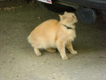 2010-05-15_17-38-55_CIMG0067.jpg