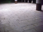 2010-05-16_00-34-29_CIMG0069.jpg
