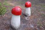 2010-05-16_11-36-45_DSC_8245.jpg