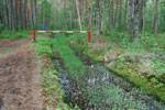 2010-05-16_11-37-22_DSC_8247.jpg