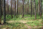 2010-05-16_11-38-54_DSC_8249.jpg