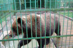 2010-05-16_12-08-30_DSC_8270.jpg