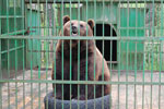 2010-05-16_12-09-02_DSC_8276.jpg