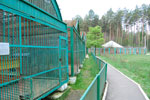 2010-05-16_12-12-52_DSC_8279.jpg