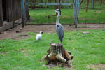 2010-05-16_12-18-57_DSC_8301.jpg