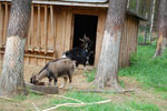 2010-05-16_12-21-48_DSC_8304.jpg
