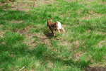 2010-05-16_12-22-20_DSC_8307.jpg