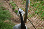 2010-05-16_12-22-40_DSC_8308.jpg
