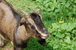 2010-05-16_12-23-26_DSC_8313.jpg