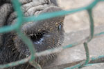 2010-05-16_12-26-03_DSC_8318.jpg