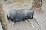 2010-05-16_12-26-40_DSC_8320.jpg