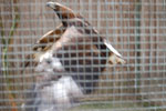 2010-05-16_12-28-06_DSC_8326.jpg