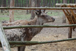2010-05-16_12-32-58_DSC_8331.jpg