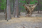 2010-05-16_12-35-32_DSC_8334.jpg