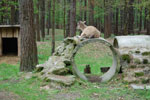 2010-05-16_12-36-55_DSC_8339.jpg