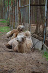 2010-05-16_12-39-29_DSC_8342.jpg