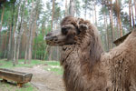 2010-05-16_12-40-06_DSC_8345.jpg