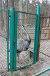 2010-05-16_12-47-44_DSC_8349.jpg
