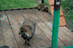 2010-05-16_12-53-45_DSC_8352.jpg