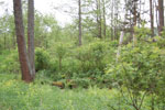2010-05-16_12-56-16_DSC_8353.jpg