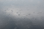 2010-05-16_14-39-08_DSC_8391.jpg