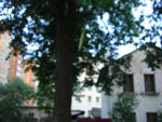 2010-05-17_21-14-10_CIMG0094.jpg