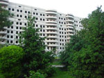 2010-05-17_21-19-12_CIMG0101.jpg