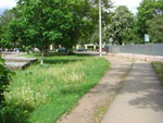 2010-05-18_12-58-06_CIMG0119.jpg