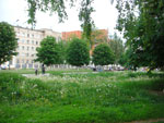 2010-05-18_19-15-07_CIMG0123.jpg