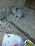 2010-05-21_19-55-02_CIMG0147.jpg