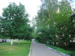 2010-05-24_19-17-47_CIMG0227.jpg