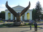 Photos